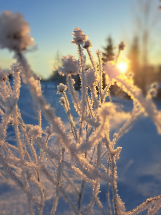 Talvi Aukeasuolla